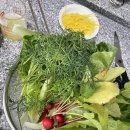 레디쉬 휴 이미지