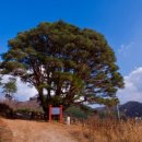 무주명가 이미지