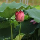 순천만그린