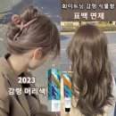 애쉬그레이 티스토리