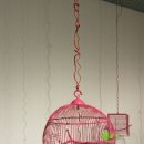 Pink House 이미지