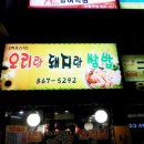 오리랑돼지랑 이미지