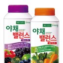밸런스2