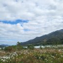 '시니어 활력 증진' 파크골프 각광…전국이 '들썩' 이미지