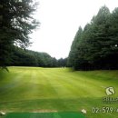 양지-3557 이미지