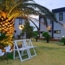 제주다모르 이미지