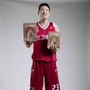네이처홈 일간스포츠