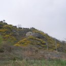 중랑천 산책로 이미지