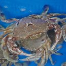 강화할인마트 이미지