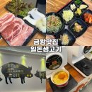 일번생고기 | [일돈생고기] 금왕 맛집, 4만 원대 세트로 배부르게 먹고 온 솔직 후기