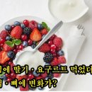 아침에 딸기·요구르트 먹었더니, 혈액·뼈에 변화가? 이미지