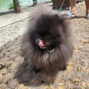 대가연꽃테마공원 이미지