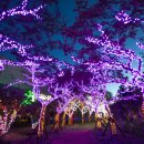 아이스뮤지엄 이미지