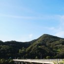 세종 도시와 자동차 이미지