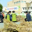 옐로우시티 이미지