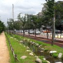 공원치안센터 이미지