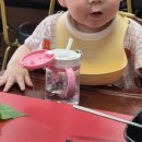 정이품쭈꾸미 지축직영점