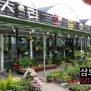 수림꽃뜰안