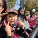 글로벌 태권도장 | 📸초월둥이들과과 함께한 즐거운 한국민속촌 나들이💛