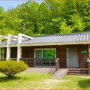 "6인실 1박 6만 원" 숲·호수 풍경 속 5성급 호텔로 소문난 인기 자연휴양림 이미지