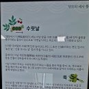 옥주단 이미지