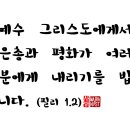 필리필리 이미지