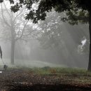 가온노인재가센터 이미지