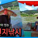 낚시나라 이미지