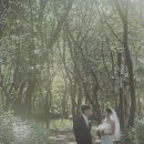 릴리먼트 - 중구 진골목길 12 | 인천 원인재 한옥 웨딩 아이폰스냅 릴리오브러브 본식후기