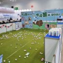 펫맘애 | [2025부산펫쇼]10월 벡스코 펫박람회 첫날 오픈런후기