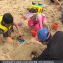 구피랑베타랑