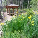 Homestay in Haeundae