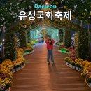 유림-18 | 유성국화축제 2025 유림공원 야간 주차팁 대전 가을축제