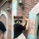 영주예찬 | 동심을 잃지 않고 싶어 평생!