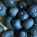 금메달 농장 이미지