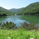 청도군-17 이미지