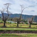 춘향테마파크 이미지