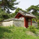 독성서사 이미지