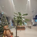 프롬마이포레스트