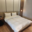 소노펠리체 델피노 이미지