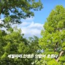 세월따라