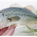 대불PC방 이미지