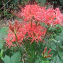 심무물욕 이미지