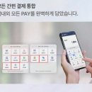 [외국인결제] 솔직후기! 페이로의 스마트한 결제 솔루션을 경험하다.