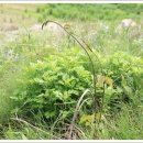 계심헌 공예 미술관 이미지