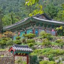 도초 수항리 궁항석장승 | 신안군 도초면 석장승과 만년사