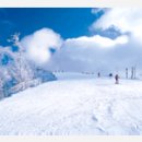 비고리조트 9 이미지