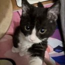 내마음바다죠 이미지