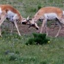 김기영농장 이미지