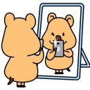 대전 키즈풀 토끼풀